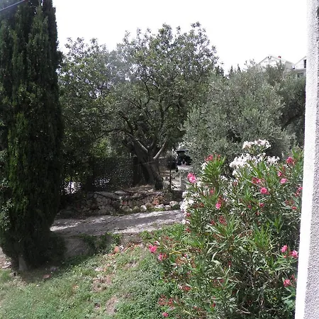 Fran And Lucia Mlini