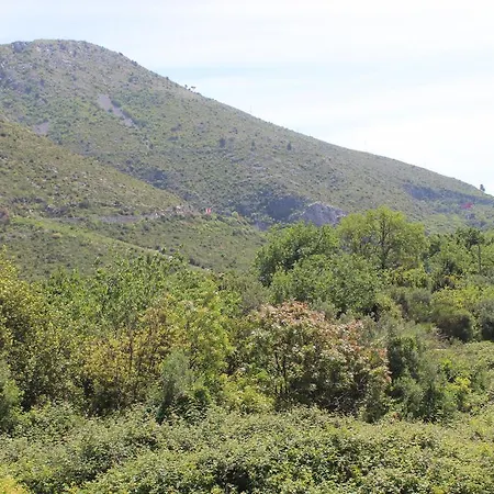 Fran And Lucia Mlini