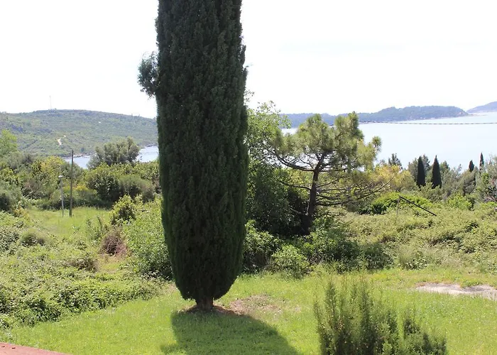 Fran And Lucia * 믈리니