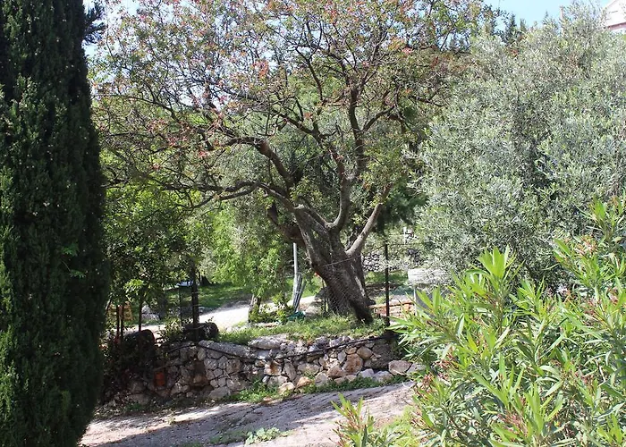 Fran And Lucia 아파트 믈리니