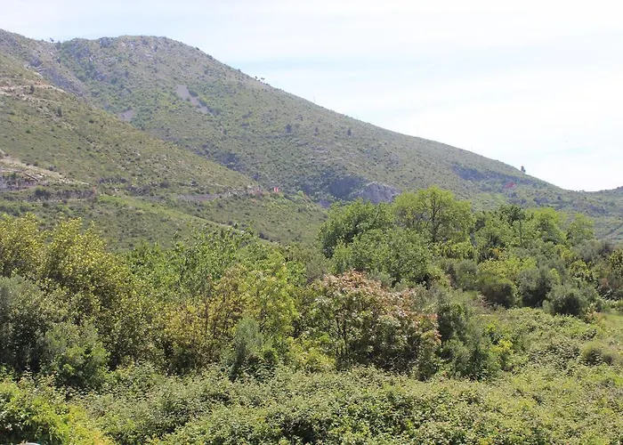 Fran And Lucia 믈리니